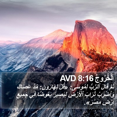اَلْخُرُوجُ 8:16 AVD Bible Verse Image