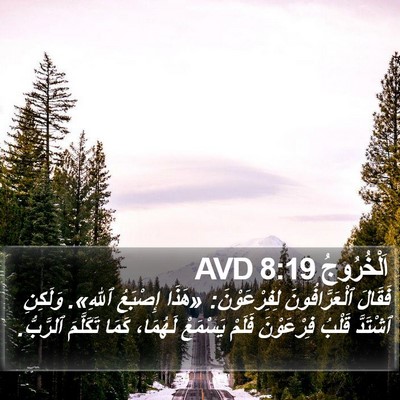 اَلْخُرُوجُ 8:19 AVD Bible Verse Image