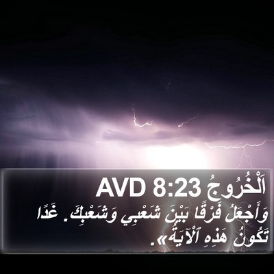 اَلْخُرُوجُ 8:23 AVD Bible Verse Image
