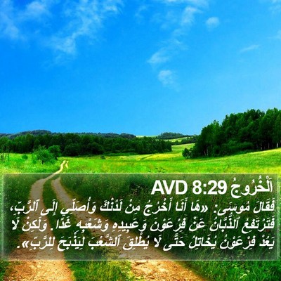 اَلْخُرُوجُ 8:29 AVD Bible Verse Image