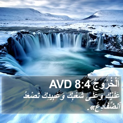 اَلْخُرُوجُ 8:4 AVD Bible Verse Image