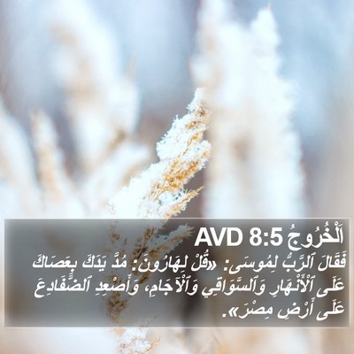 اَلْخُرُوجُ 8:5 AVD Bible Verse Image