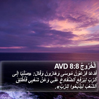 اَلْخُرُوجُ 8:8 AVD Bible Verse Image