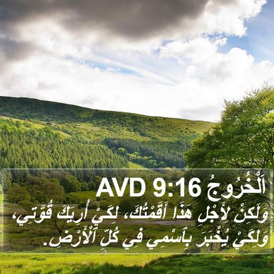 اَلْخُرُوجُ 9:16 AVD Bible Verse Image