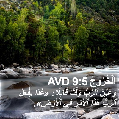 اَلْخُرُوجُ 9:5 AVD Bible Verse Image