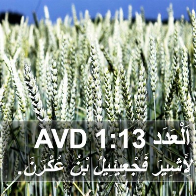 اَلْعَدَد 1:13 AVD Bible Verse Image