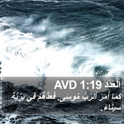 اَلْعَدَد 1:19 AVD Bible Verse Image