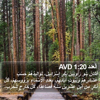 اَلْعَدَد 1:20 AVD Bible Verse Image