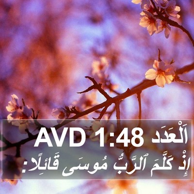 اَلْعَدَد 1:48 AVD Bible Verse Image