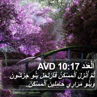 اَلْعَدَد 10:17 AVD Bible Verse Image