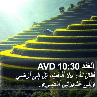 اَلْعَدَد 10:30 AVD Bible Verse Image