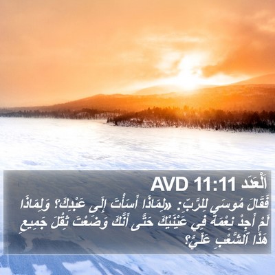 اَلْعَدَد 11:11 AVD Bible Verse Image