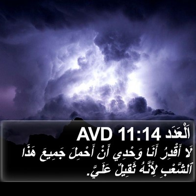 اَلْعَدَد 11:14 AVD Bible Verse Image