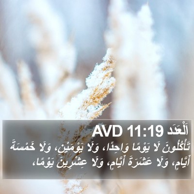 اَلْعَدَد 11:19 AVD Bible Verse Image