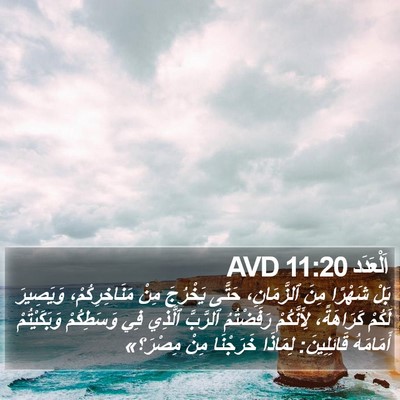 اَلْعَدَد 11:20 AVD Bible Verse Image