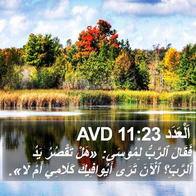 اَلْعَدَد 11:23 AVD Bible Verse Image