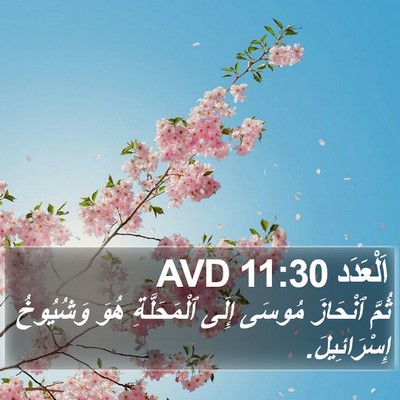 اَلْعَدَد 11:30 AVD Bible Verse Image
