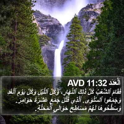 اَلْعَدَد 11:32 AVD Bible Verse Image