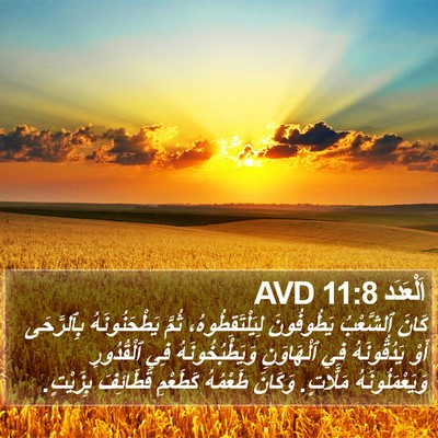 اَلْعَدَد 11:8 AVD Bible Verse Image