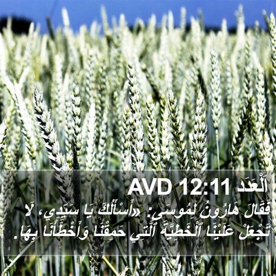 اَلْعَدَد 12:11 AVD Bible Verse Image