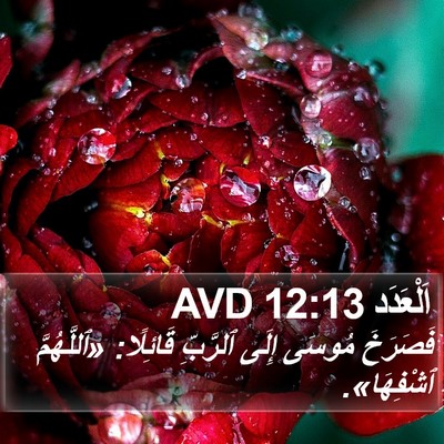 اَلْعَدَد 12:13 AVD Bible Verse Image
