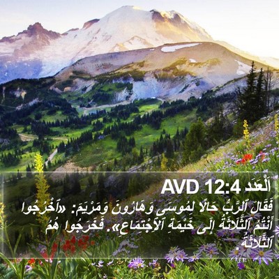 اَلْعَدَد 12:4 AVD Bible Verse Image