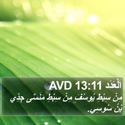 اَلْعَدَد 13:11 AVD Bible Verse Image