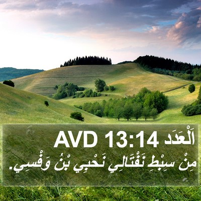 اَلْعَدَد 13:14 AVD Bible Verse Image