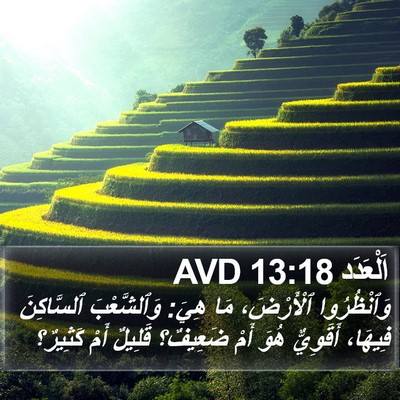 اَلْعَدَد 13:18 AVD Bible Verse Image