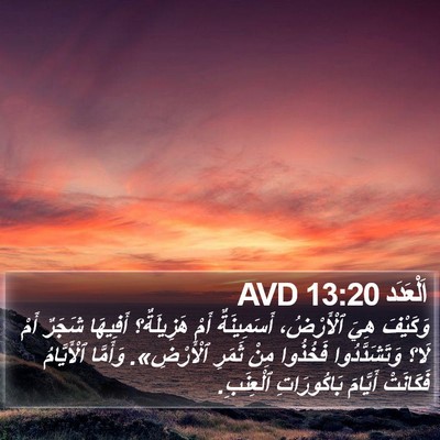 اَلْعَدَد 13:20 AVD Bible Verse Image