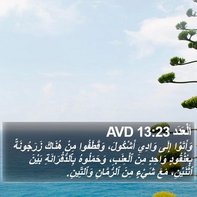 اَلْعَدَد 13:23 AVD Bible Verse Image