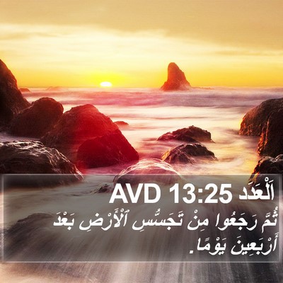 اَلْعَدَد 13:25 AVD Bible Verse Image
