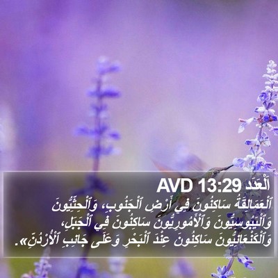 اَلْعَدَد 13:29 AVD Bible Verse Image
