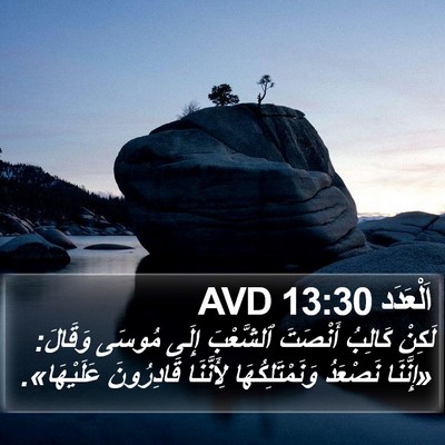 اَلْعَدَد 13:30 AVD Bible Verse Image