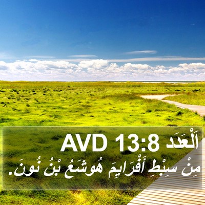اَلْعَدَد 13:8 AVD Bible Verse Image