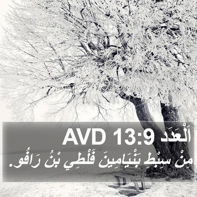 اَلْعَدَد 13:9 AVD Bible Verse Image