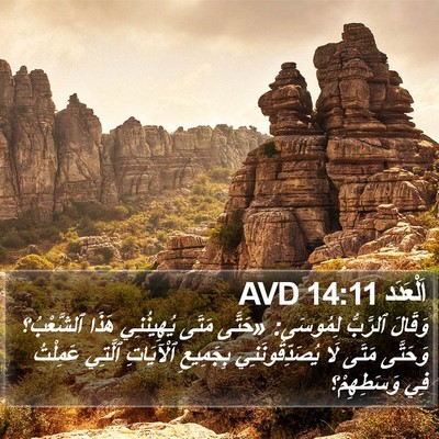 اَلْعَدَد 14:11 AVD Bible Verse Image