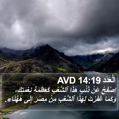اَلْعَدَد 14:19 AVD Bible Verse Image