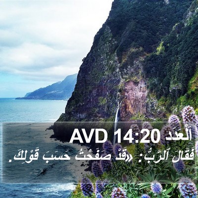 اَلْعَدَد 14:20 AVD Bible Verse Image