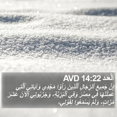 اَلْعَدَد 14:22 AVD Bible Verse Image