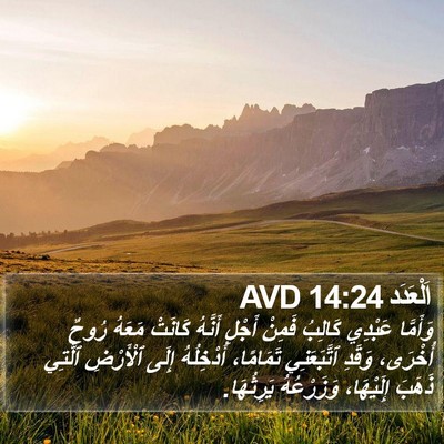 اَلْعَدَد 14:24 AVD Bible Verse Image