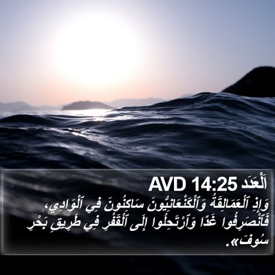اَلْعَدَد 14:25 AVD Bible Verse Image