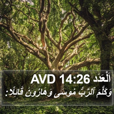 اَلْعَدَد 14:26 AVD Bible Verse Image