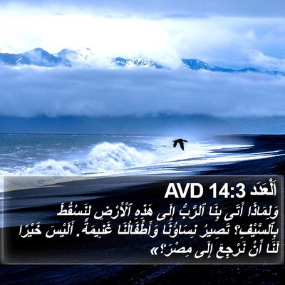 اَلْعَدَد 14:3 AVD Bible Verse Image