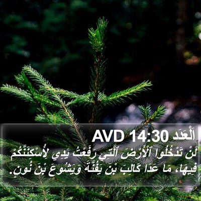 اَلْعَدَد 14:30 AVD Bible Verse Image