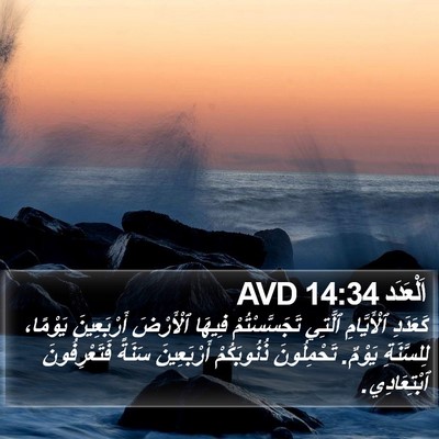 اَلْعَدَد 14:34 AVD Bible Verse Image