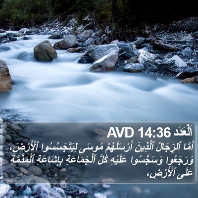 اَلْعَدَد 14:36 AVD Bible Verse Image
