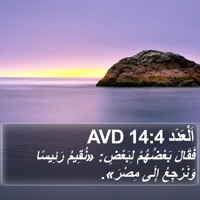 اَلْعَدَد 14:4 AVD Bible Verse Image