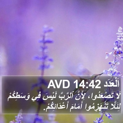 اَلْعَدَد 14:42 AVD Bible Verse Image