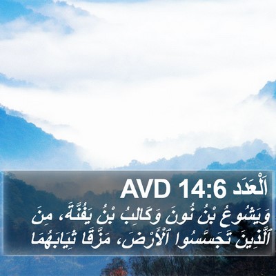 اَلْعَدَد 14:6 AVD Bible Verse Image